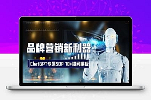 品牌营销新利器：ChatGPT专属SOP，70+提问模板